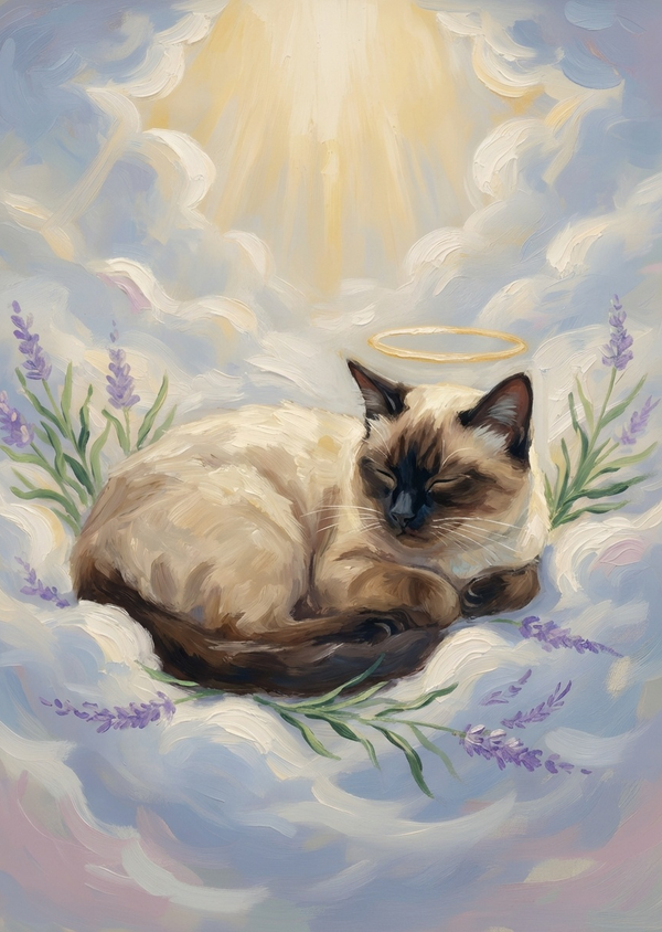 Example portrait - 85c76209-e46b-4ce3-b8a8-5a16048bd084